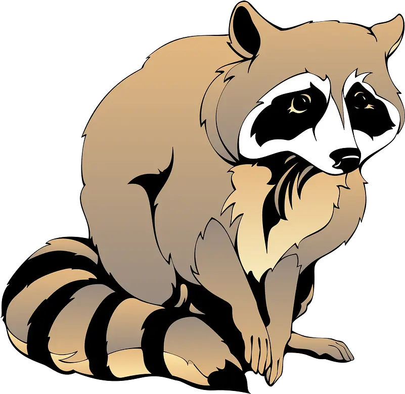 Clipart Coloring Book Of A Raccoon Png Raccoon Transparent