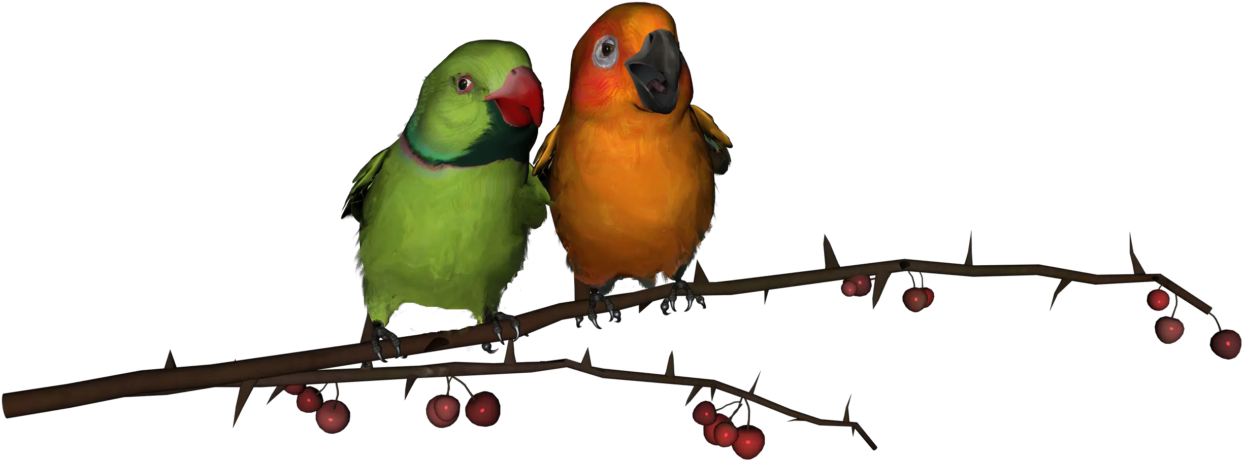 Lovebirds Png Transparent Free Images Only Love Birds Png Hd Branch Png