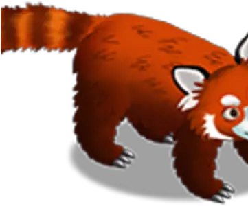Red Panda Zoocraft Wiki Fandom Zoo Craft Red Panda Png Red Panda Transparent