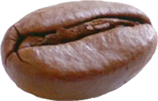 Single Coffee Bean Png Picture Arabica Coffee Bean Png Bean Png