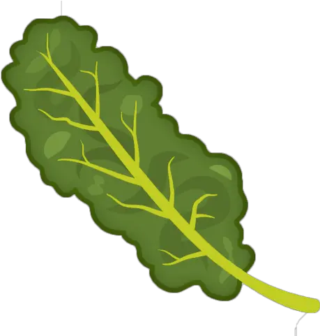 Transparent Background Kale Clipart Kale Clipart Png Kale Png