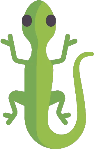 Lizard Free Animals Icons Lizard Icon Png Lizard Png