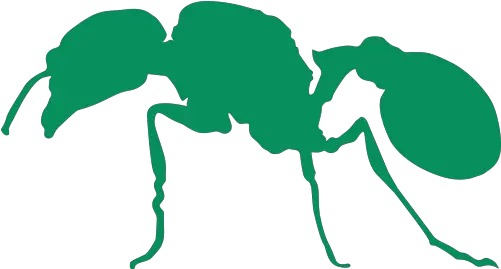 Outdoor Insects Png Ant Icon