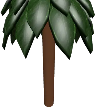 Jungle Tree Roblox Attalea Speciosa Png Jungle Tree Png