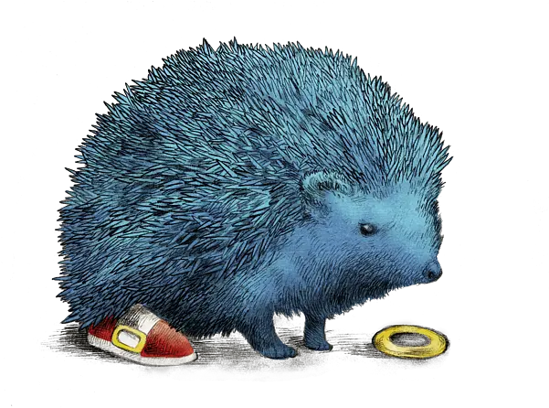 Sonic Baby Onesie Blauer Igel Png Hedgehog Transparent