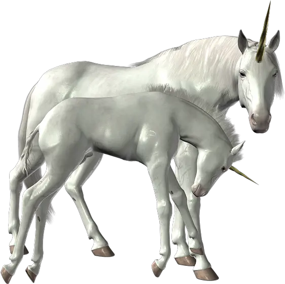 Download Unicorn Png Image For Free Deviantart Unicorn Png Transparent Unicorn