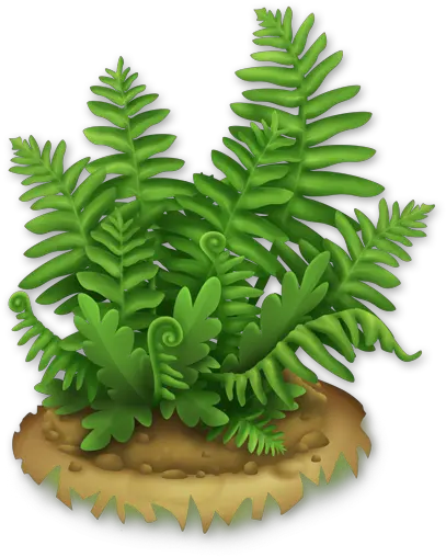 Lush Fern Fern Cartoon Png Fern Png