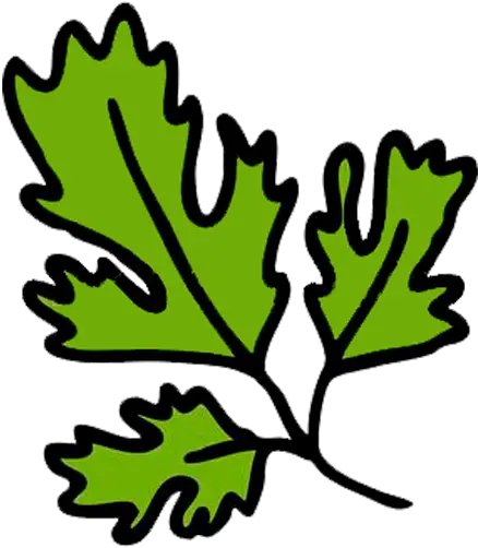 Pelegrini Saison Beermodcom Cilantro Vector Png Cilantro Icon