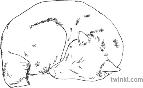 Dog Laying Down Sleeping Shiba Inu Dog Laying Down Drawing Png Shiba Inu Transparent