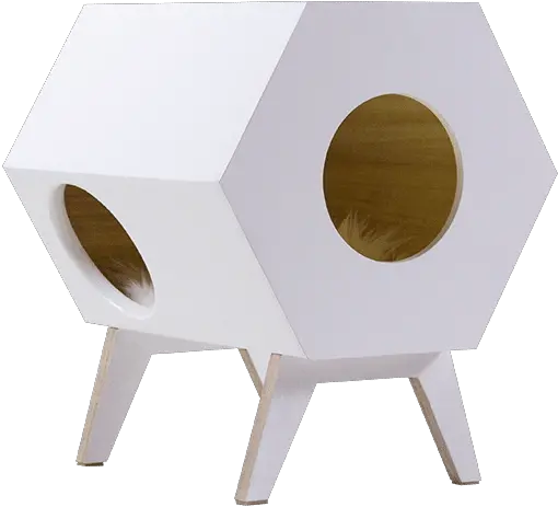 Snowball Balance Buddy Plywood Png Snowball Png