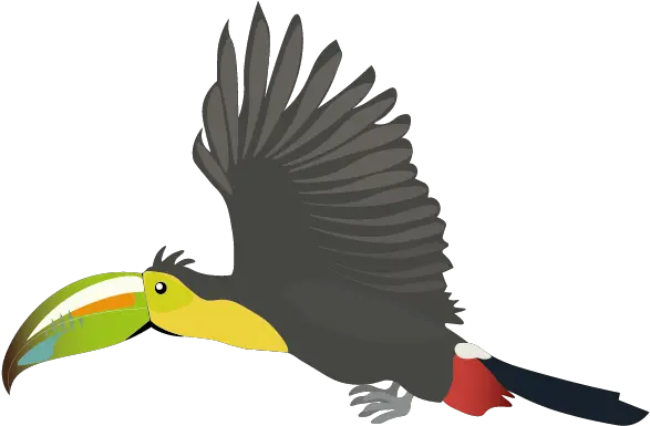 Flying Animation Toucan Png Toucan Png