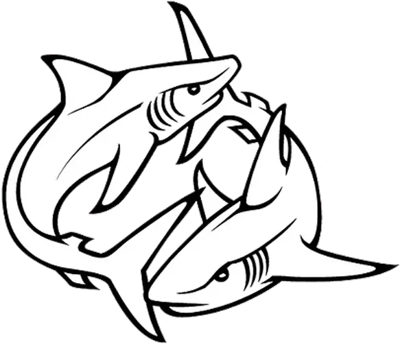 15 Latest Shark Tattoo Designs And Ideas Tattoo Outline Designs Ideas Png Tattoo Design Png