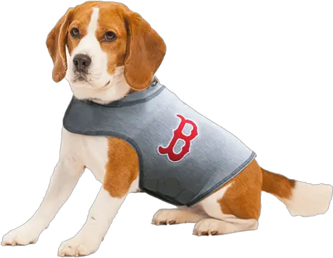 Boston Red Sox Dog Shirt Transparent Thundershirt For Small Dogs Png Red Sox Png
