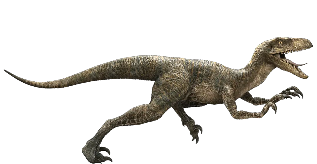 Raptor Dinosaur Png Jurassic World Velociraptor Clipart Raptor Dinosaur Png Dinosaur Png