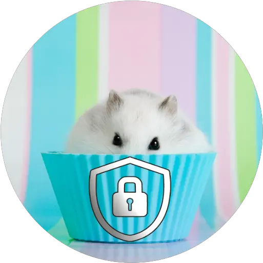 Hamster Lock Screen Hd Apk 10 Download Apk Latest Version Hamster Wallpaper 4k Png Hamster Icon