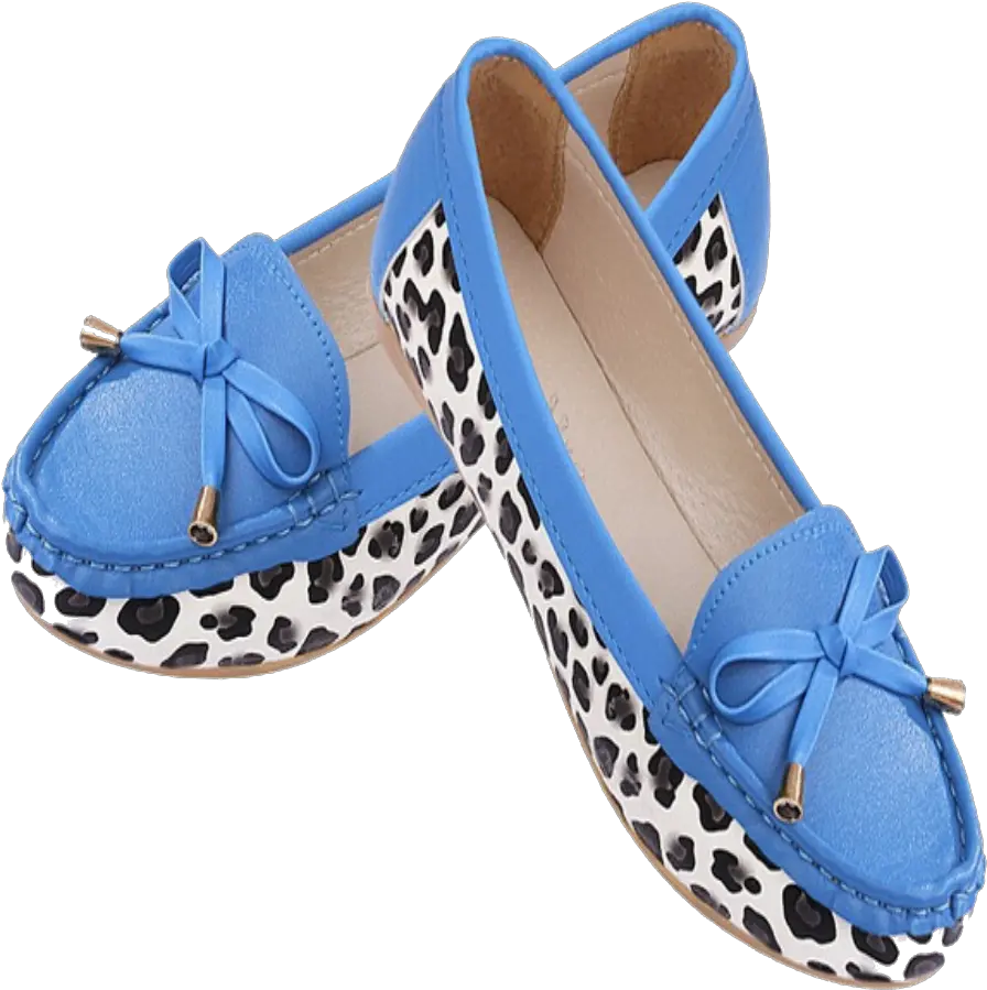 Flats Shoes Png Clipart All Shoes For Women Png Shoe Print Png