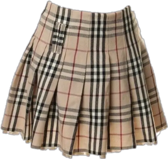 Png Clothespng Skirt Plaid Aesthetic Niche Meme Png Skirt Skirt Png