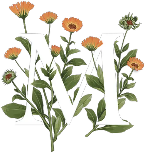 Fullscreen Page Wixtest Typography Flowers Png Marigold Png