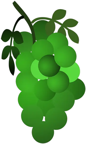Grapes Icon Diamond Png Grapes Icon
