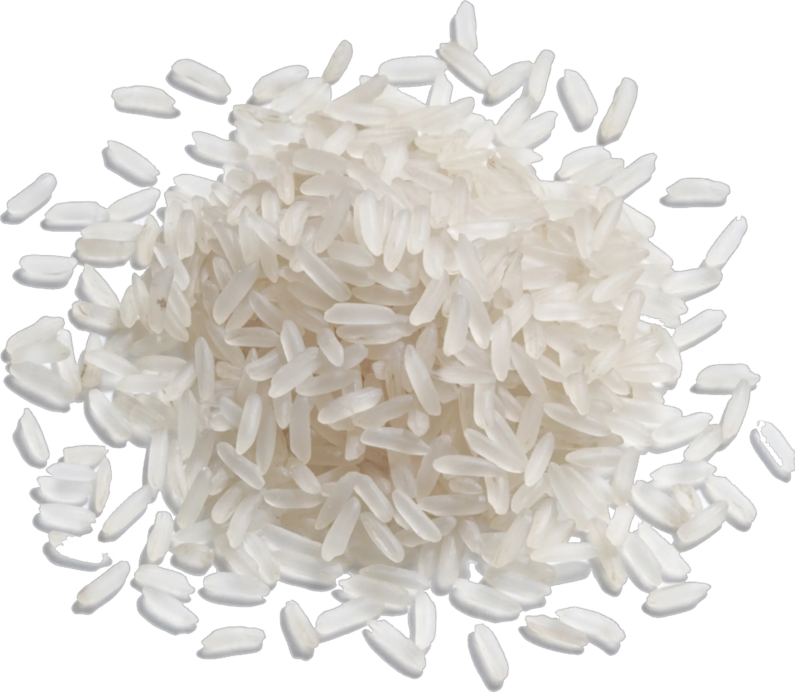 Rice Grain Of Rice Png Rice Transparent Background