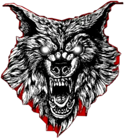 Dog Wolf Angery Scary Freetoedit Sticker By Matthew2times Drawing Scary Wolf Tattoo Png Wolf Head Icon