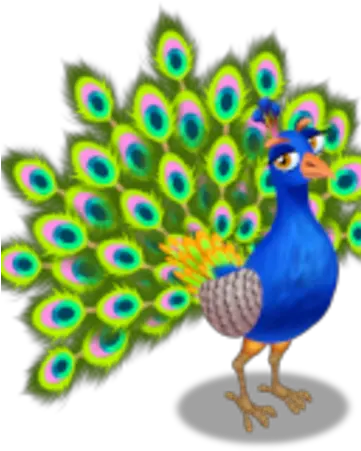 Peacock Zoocraft Wiki Fandom Turkey Png Peacock Png