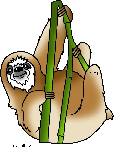 Transparent Background Sloth Clipart Free Transparent Background Rainforest Animals Clipart Png Sloth Transparent Background