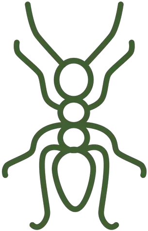 Transparent Png Svg Vector File Desenho Simples De Formiga Ants Png