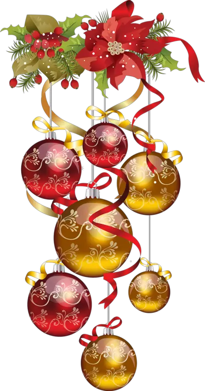 Christmas Flowers Png