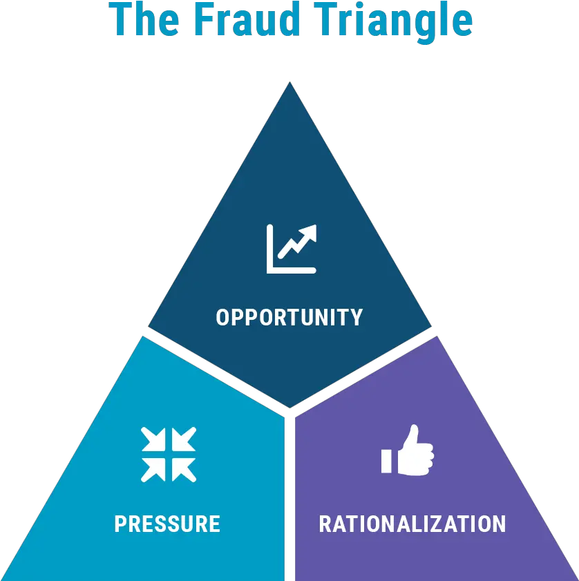 Download This Consistent Human Behavior Pattern Observed By The Fram Museum Png Triangle Transparent