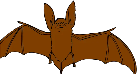 Brown Bat Png Svg Clip Art For Web Download Clip Art Png Brown Bat Clipart Cute Bat Icon