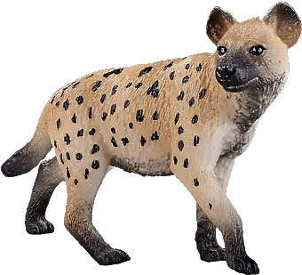 Mojo Hyena Wild Zoo Animals Play Model Figure Toys Plastic Mojo Hyena Png Hyena Icon