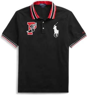 900 Polo Ideas In 2021 Ralph Lauren Solid Png Ralph Lauren Icon