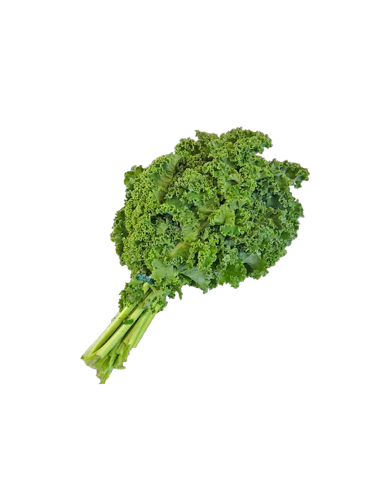 Canvas Print Png Native Kale Green Kale Kale Png