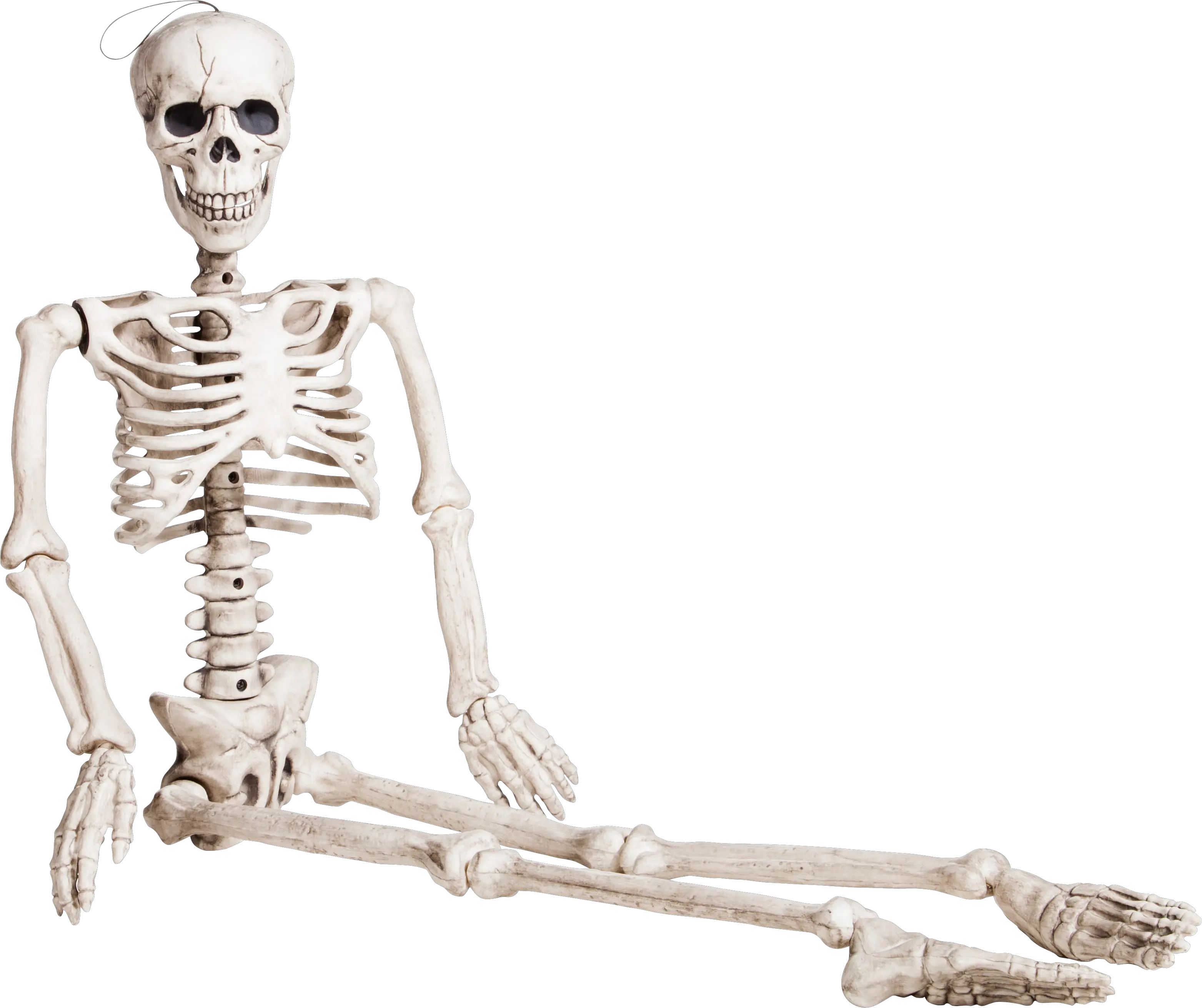 Skeleton Png Sitting Skeleton Png Skeleton Png Transparent