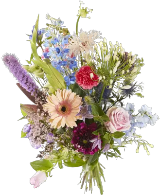 Bouquet Fluffy Field Flowers Field Flowers Bouquet Png Wild Flowers Png