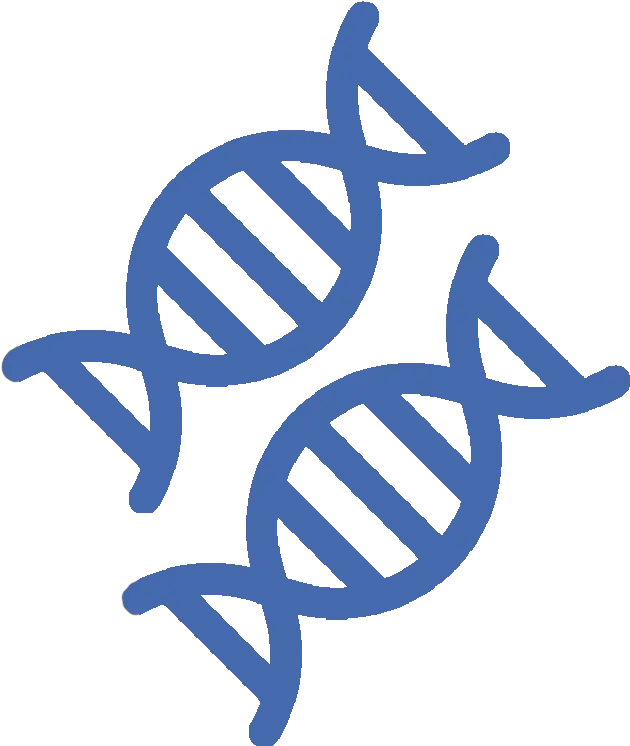 Eton Bioscience Inc Dna Icon Vector Png Dna Match Icon