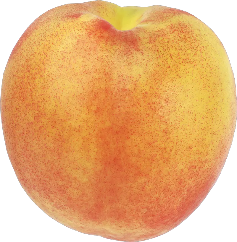 Peach Png Image Purepng Free Transparent Cc0 Png Image Peach Fruit Blank Background Peach Transparent