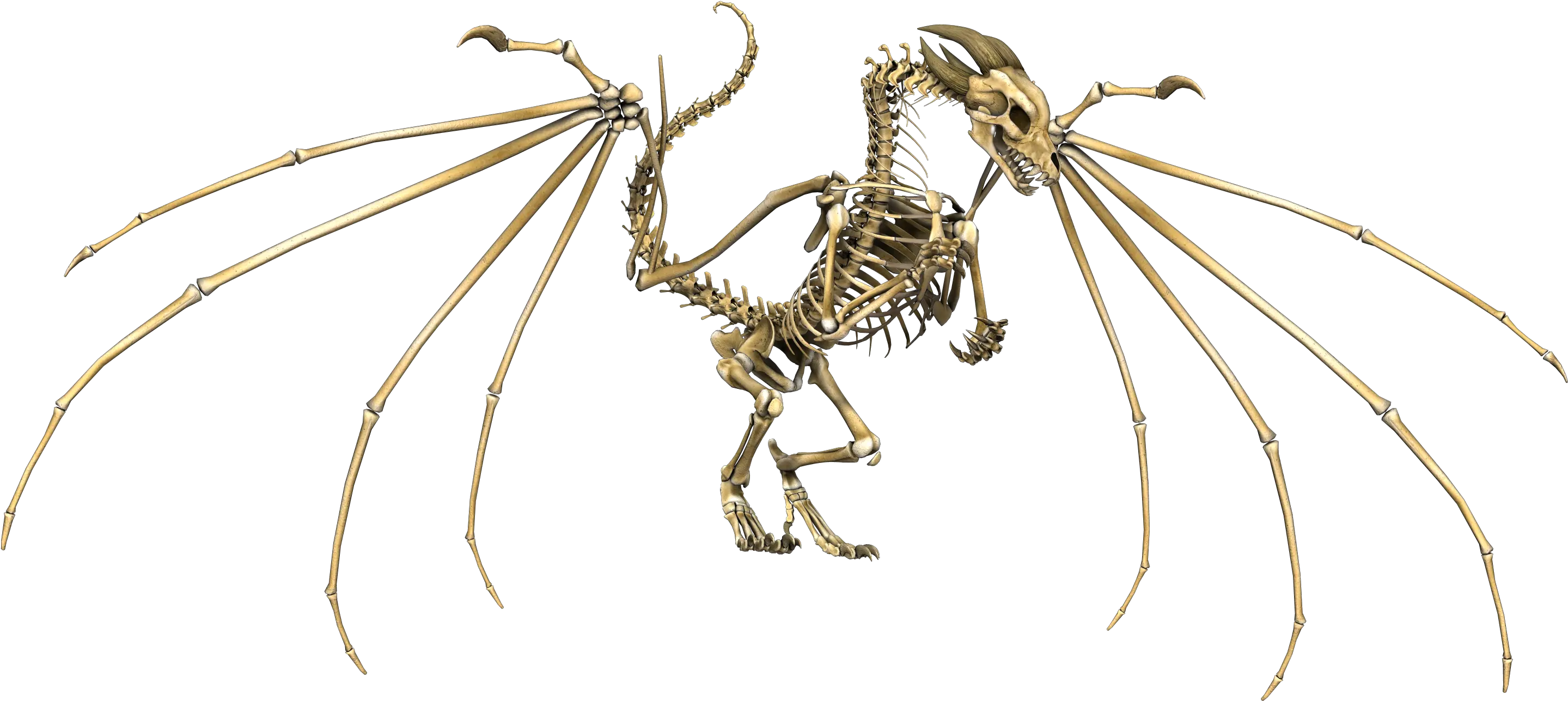 Dragon Skull Png Dragon Skeleton Wings Flying Fantasy Skeleton Dragon Dnd 5e Skeleton Png Transparent