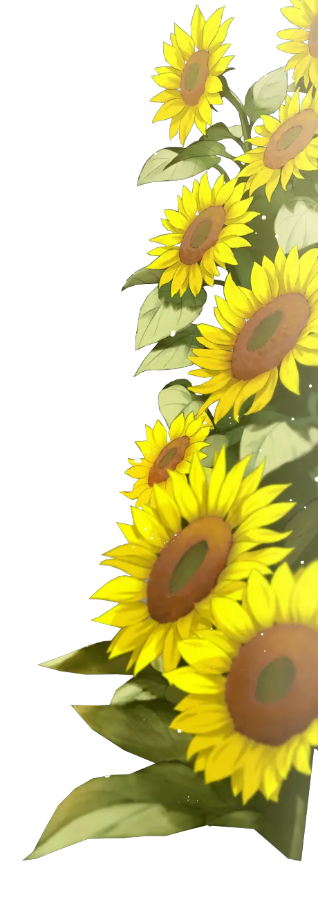 Mason Jar With Sunflowers Png