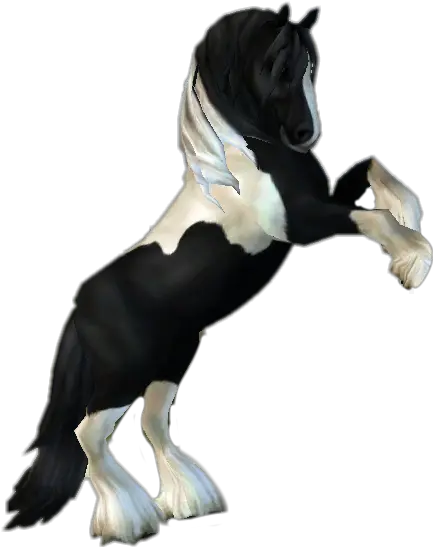 Starstable Stickers Star Stable Logo Transparent Tinker Png Star Stable Logo