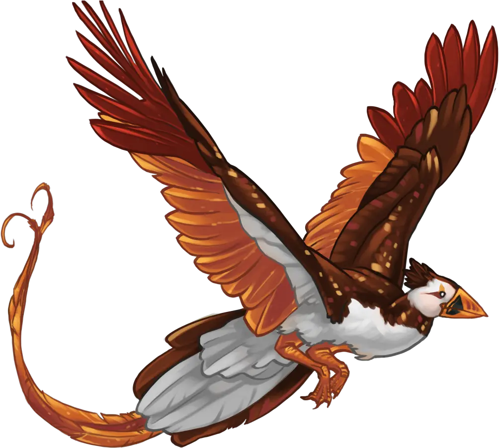 Download Hd Pheonix Template Autumn Zpsdd43cdc6 Hawk Falconiformes Png Hawk Png
