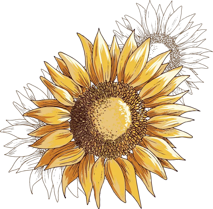 Low Poly Sunflower Png