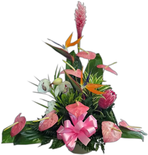 Tropical Island Floral Png Tropical Flower Png