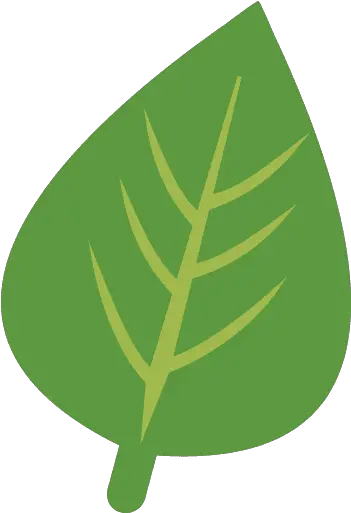 Herb Green Leaf Icon Png And Svg Vector Free Download Vertical Warning Icon 16x16