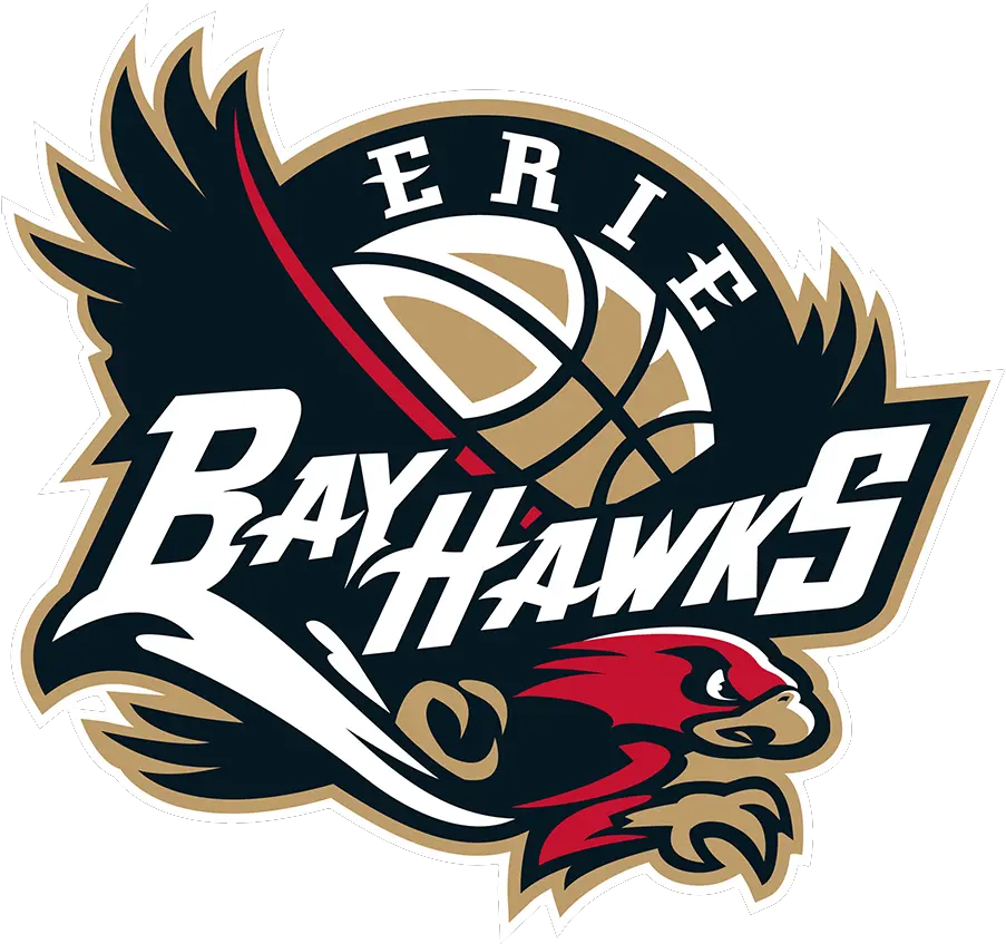 Erie Bayhawks Primary Logo Nba Gatorade League Gleague Erie Bayhawks Logo Png Gatorade Logo Png