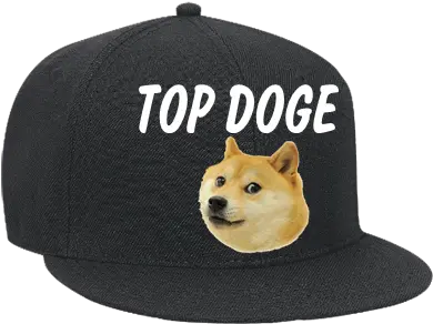 Doge Store Lessons Tes Teach Doge Hat Transparent Png Doge Png