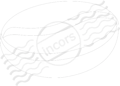 Iconexperience M Collection Coffee Bean Icon Language Png Bean Icon