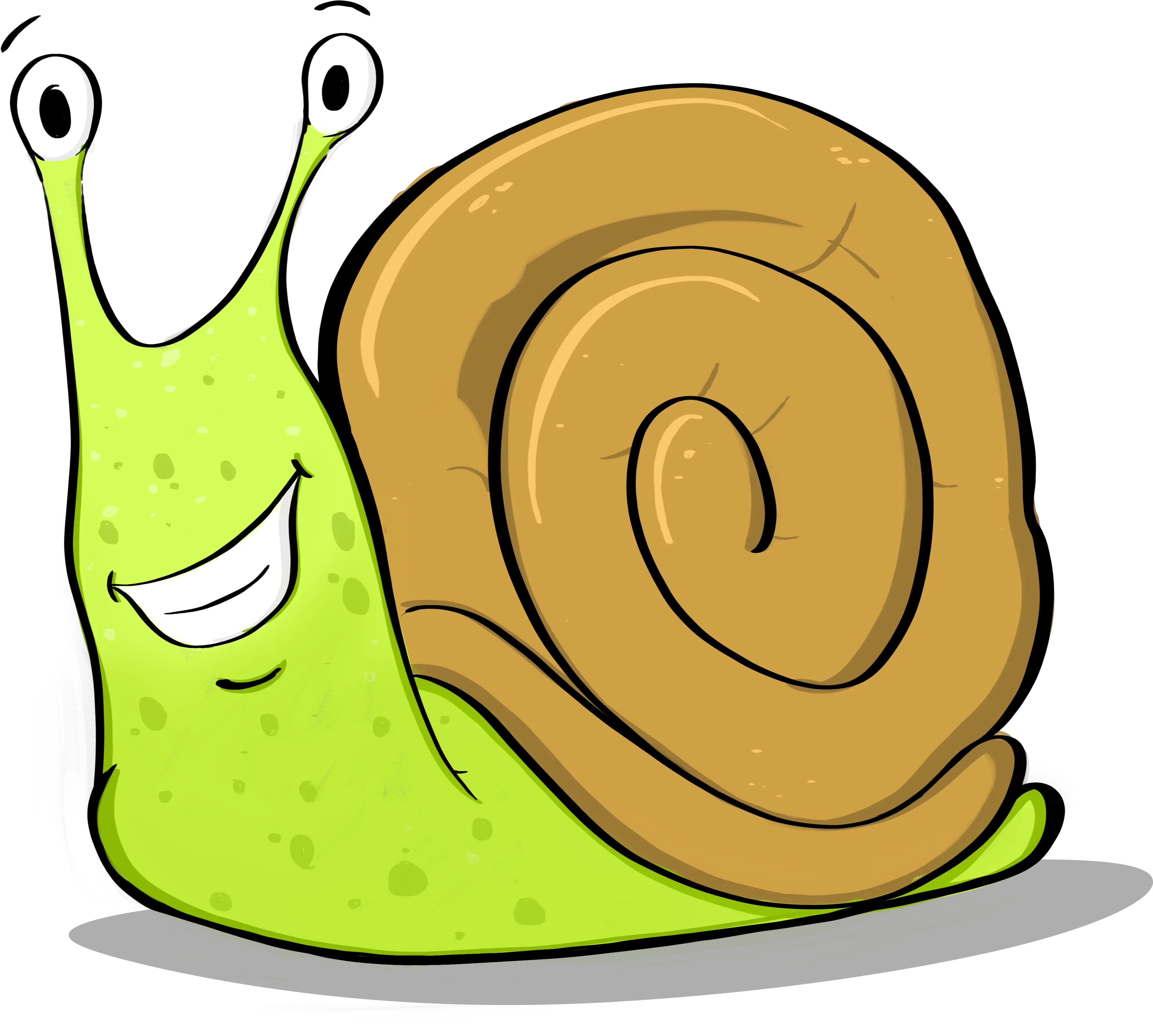 The Argonaut U2013 A Fresh Look Washington State Invertebrate Mollusk Png Snail Transparent