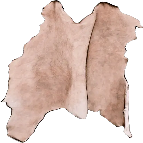 Raccoon Skin Official The Forest Wiki Drawing In Animal Skin Png Raccoon Png